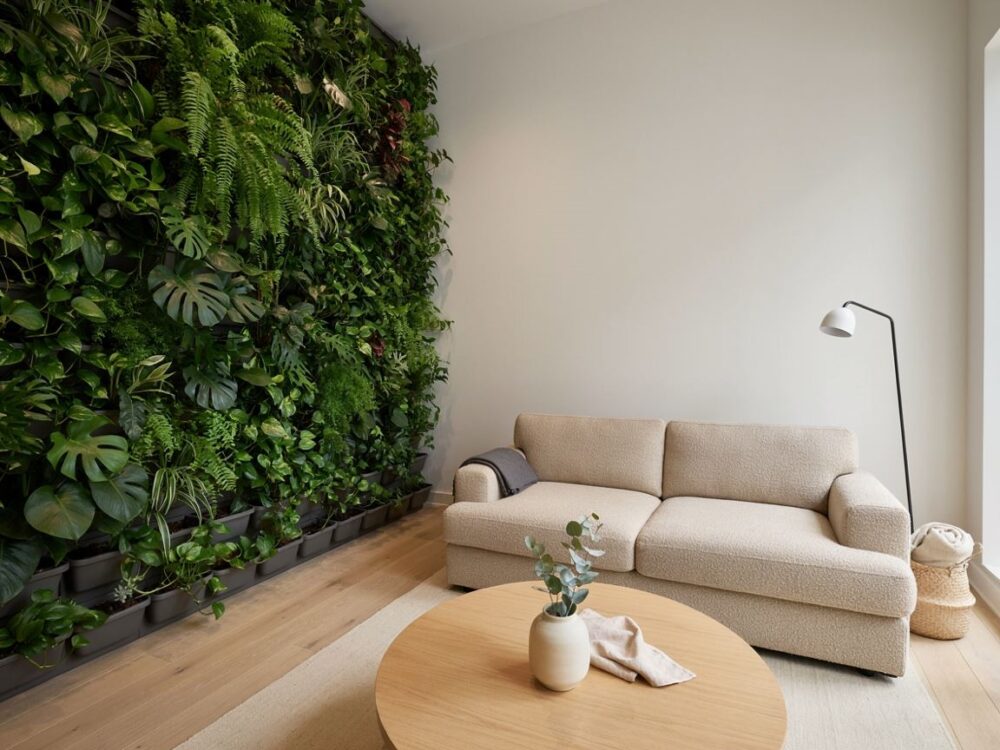 salon z naturalną zielenią